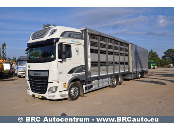 Camion à rideaux coulissants DAF XF