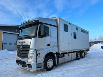 Camion bétaillère MERCEDES-BENZ Actros