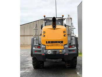 Chargeuse sur pneus Liebherr L 566 X POWER: photos 5