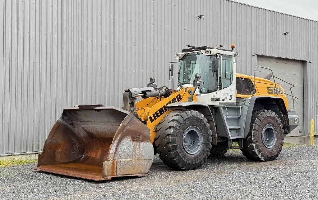 Chargeuse sur pneus Liebherr L 566 X POWER: photos 6