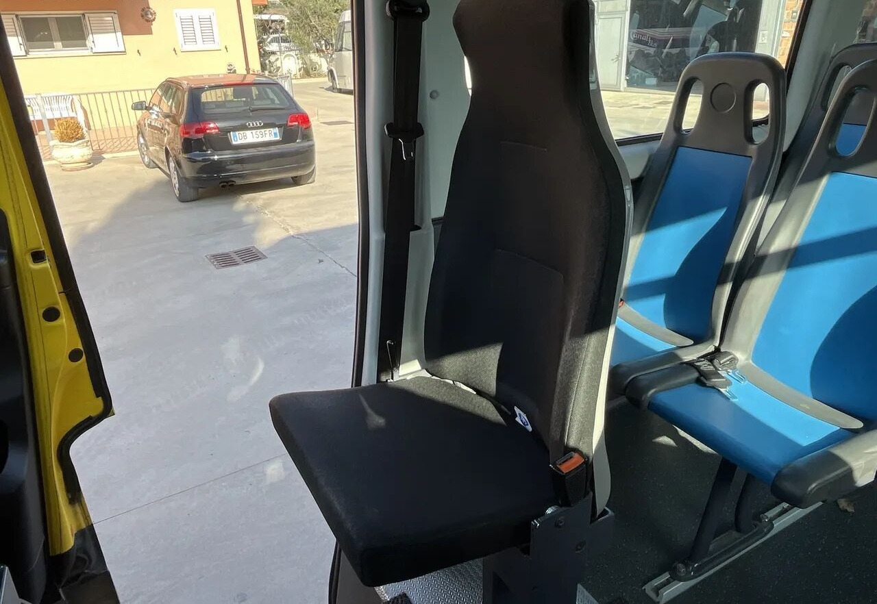 Minibus, Transport de personnes IVECO Daily: photos 11